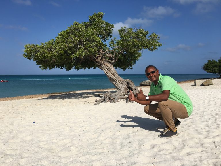 Divi Divi Tree Eagle Beach